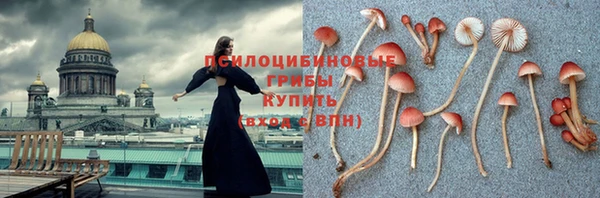 прущий лед Балабаново