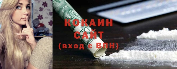 ГАЛЛЮЦИНОГЕННЫЕ ГРИБЫ Лагань